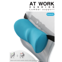 Lumbar Cushion