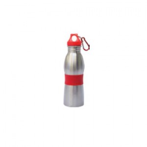 Sports Bottle 15