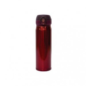 Vacuum Flask 17