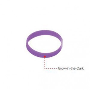 Glow in Dark Wristband