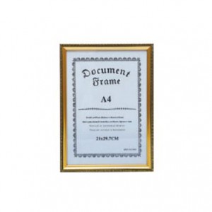 SA Photo Frame