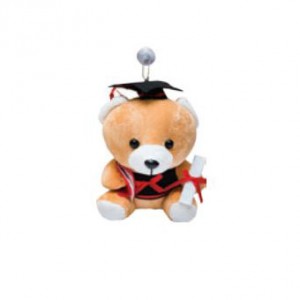 Graduation Bear
