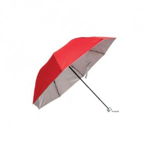 Silver Coated Solid Toned Umbrella